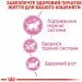   Royal Canin    KITTEN (), 2 