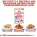   Royal Canin  Kitten Instinctive   85 