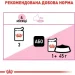   Royal Canin Kitten Instinctive   8 