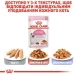   Royal Canin Kitten Instinctive   8 