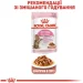   Royal Canin  Kitten Sterilised 2 