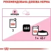   Royal Canin  Kitten Sterilised   85 