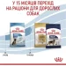   Royal Canin    MAXI PUPPY ( ), 4 