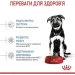   Royal Canin    MAXI PUPPY ( ), 4 