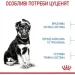   Royal Canin    MAXI PUPPY ( ), 4 
