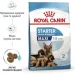   Royal Canin    MAXI STARTER 4 