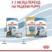   Royal Canin    MAXI STARTER 4 