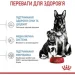   Royal Canin    MAXI STARTER 4 