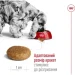   Royal Canin    MEDIUM ADULT 4 