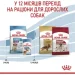   Royal Canin    MEDIUM PUPPY 1 