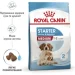   Royal Canin    MEDIUM STARTER 1 