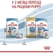   Royal Canin    MEDIUM STARTER 1 