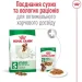   Royal Canin    ADULT MINI (̳ ), 0,8 
