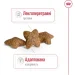   Royal Canin    MINI ADULT 2 