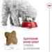   Royal Canin    MINI ADULT 2 