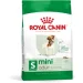   Royal Canin    MINI ADULT 2 