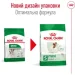   Royal Canin    MINI ADULT 2 