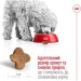   Royal Canin    MINI ADULT 8+  800 