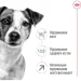   Royal Canin    MINI ADULT 8+  800 