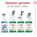   Royal Canin    MINI AGEING 12+  0,8 