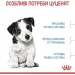   Royal Canin    MINI PUPPY 0,8 