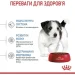   Royal Canin    MINI PUPPY 0,8 