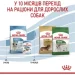   Royal Canin    MINI PUPPY 2 