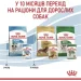   Royal Canin    MINI PUPPY (  ), , 85 