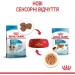   Royal Canin    MINI PUPPY (  ), , 85 