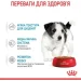   Royal Canin    MINI PUPPY (  ), , 85 