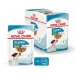  Royal Canin    MINI PUPPY (  ), , 85 
