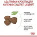   Royal Canin    MINI PUPPY ( ), 8 