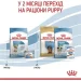   Royal Canin    MINI STARTER 1 