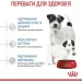   Royal Canin    MINI STARTER 1 