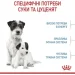   Royal Canin    MINI STARTER 1 