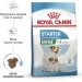   Royal Canin    MINI STARTER 1 