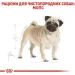   Royal Canin    PUG ADULT 3 