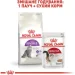   Royal Canin  Sensible 2 