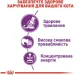   Royal Canin  Sensible 2 