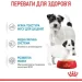  Royal Canin    STARTER MOUSSE (  &  ), , 195 