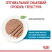 Royal Canin    STARTER MOUSSE (  &  ), , 195 