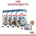  Royal Canin    STARTER MOUSSE (  &  ), , 195 
