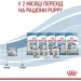  Royal Canin    STARTER MOUSSE (  &  ), , 195 