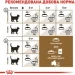   Royal Canin  Sterilised 12+  2 