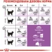   Royal Canin  Sterilised 2 