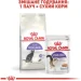   Royal Canin  Sterilised 2 