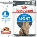   Royal Canin    ULTRA LIGHT CARE (   ), , 85 