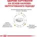   Royal Canin    URINARY CANINE ( ), 2 