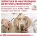   Royal Canin    URINARY CANINE ( ), 2 
