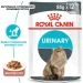   Royal Canin  Urinary Care   85 